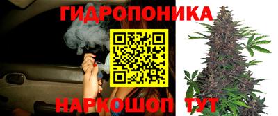 PSILOCYBIN Наро-Фоминск