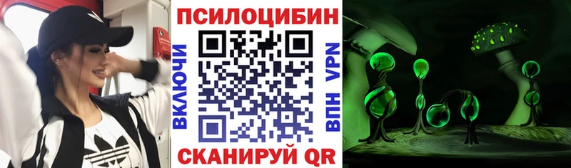 где можно купить наркотик  Острогожск  Псилоцибиновые грибы ЛСД 