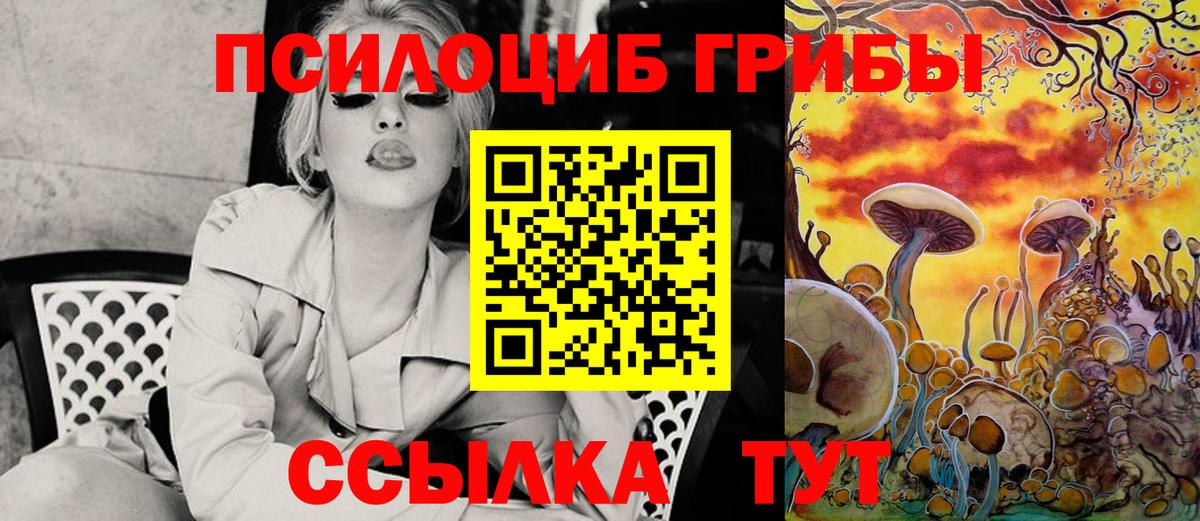 купить   Галлюциногенные грибы Cubensis  Вход с VPN  Острогожск 