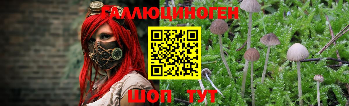 Галлюциногенные грибы Cubensis Острогожск